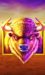 Buffalo King