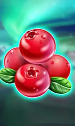 Winterberries