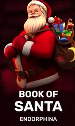 Enes € 33,15 Book of Santa